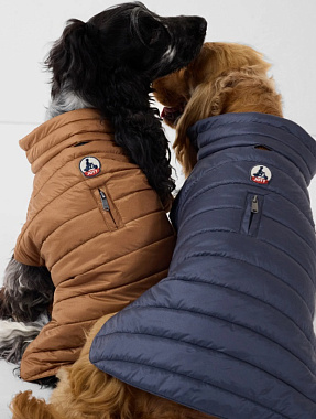 Cutie Dog Jumpsuit