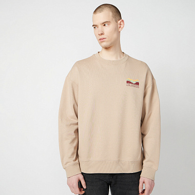 Mens sweatshirt