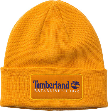 Established 1973 Beanie