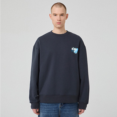 Mens sweatshirt