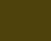 BRITISH KHAKI